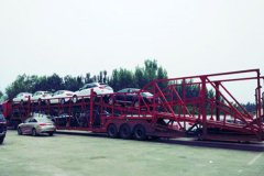 石家庄托运一只宠物怎么收费？