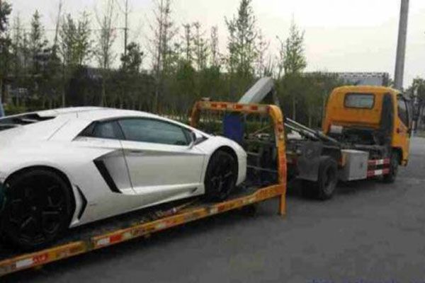 中国到澳洲宠物托运多少钱