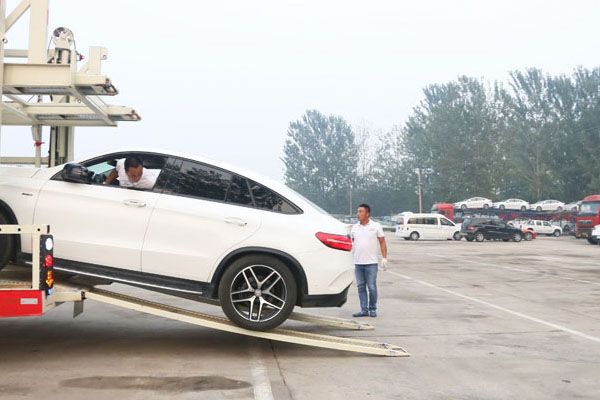 南京托运宠物到福建多少钱