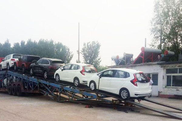 宠物托运荷兰多少钱一件