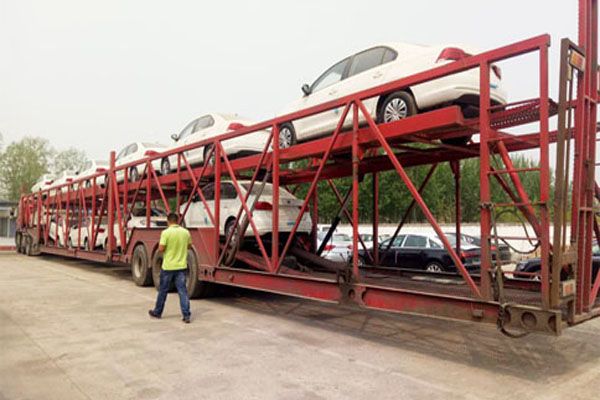 宠物托运荷兰多少钱一公斤