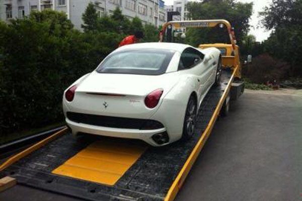 宠物托运跟车安全吗多少钱