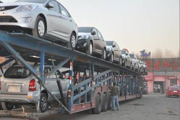 宠物托运路运安全吗多少钱